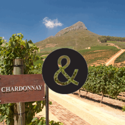 25 september 2025 - Alles over Chardonnay